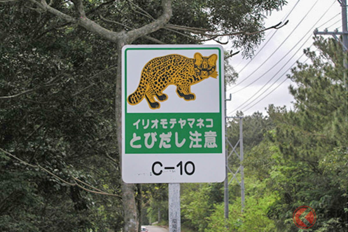 イリオモテヤマネコとびだし注意の標識