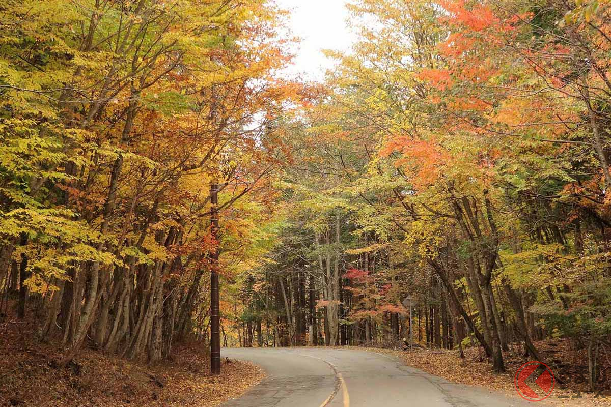 栃木県日光市の鬼怒川温泉エリアと那須塩原市をつなぐ「日塩有料道路(もみじライン・龍王峡ライン)」は無料開放されている
