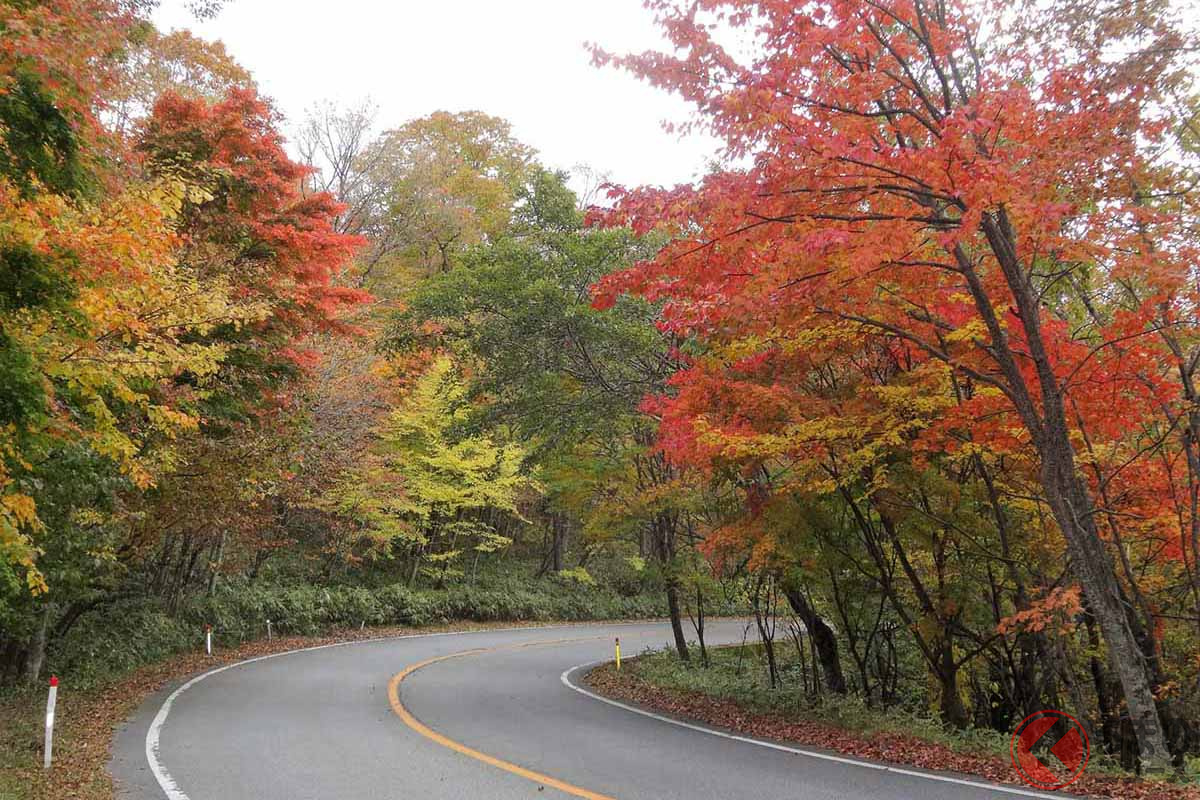 日塩もみじライン(画像:写真AC)