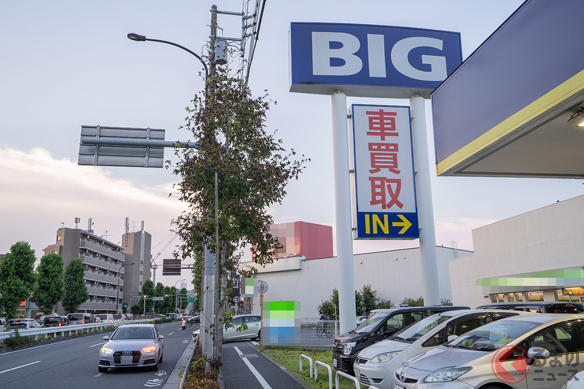 都内の店前の樹木が枯れかかっているように見える。とくに低樹木は変色している(撮影:筆者)