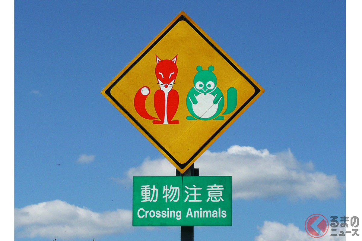 北海道に3箇所にしかない激レア標識!?(画像:NEXCO東日本北海道支社)