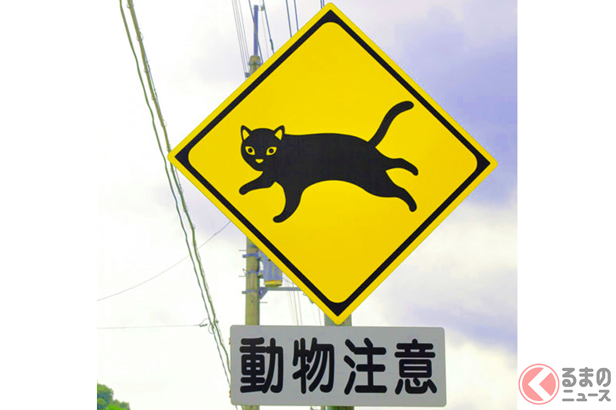 可愛いこの看板に要注意!