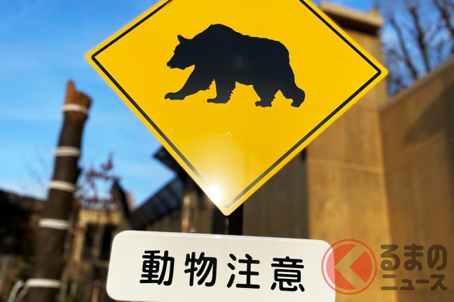 ドライブ中に「クマ・シカ出現！」どうする？ 暖かくなると人里にも