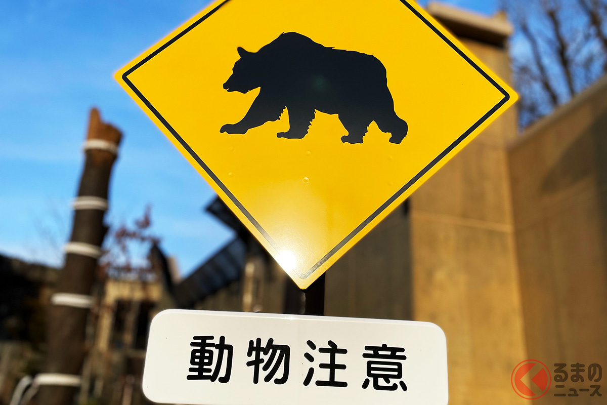 クマやシカなどの野生動物と接触すると大きな事故になることがある