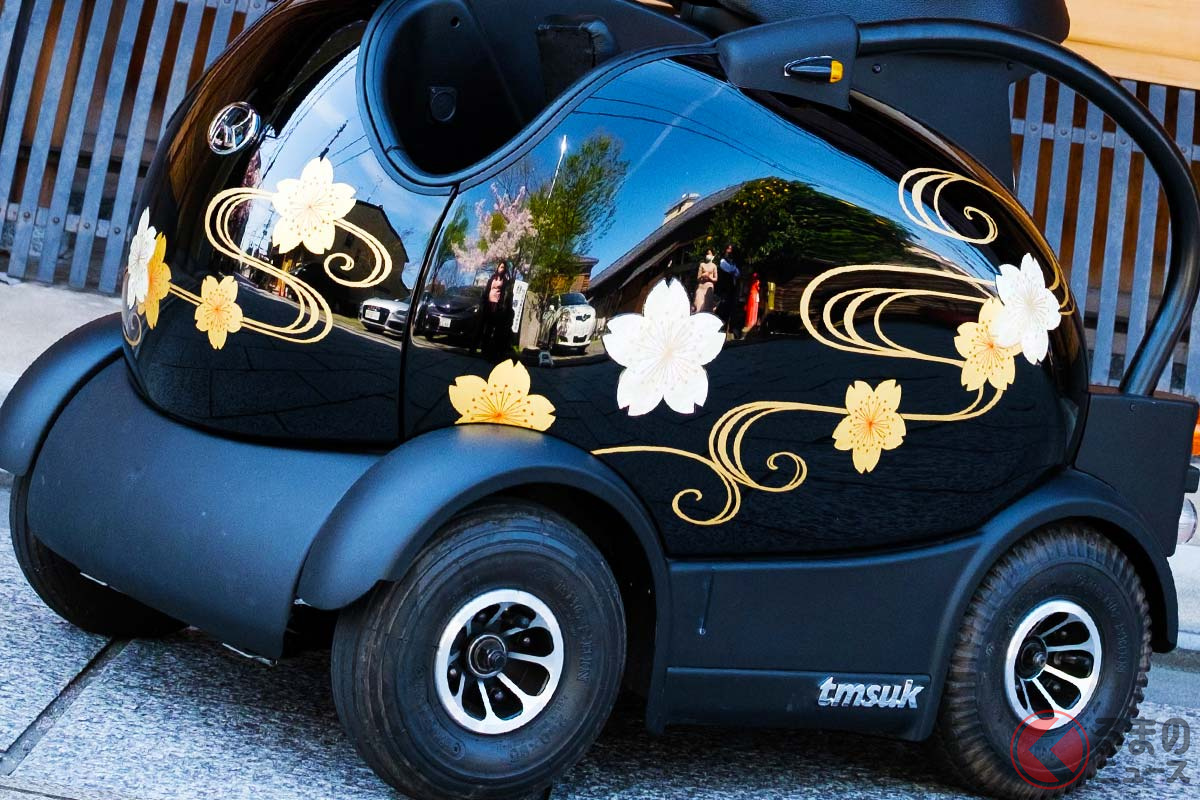 テムザック「RODEM(ロデム)」