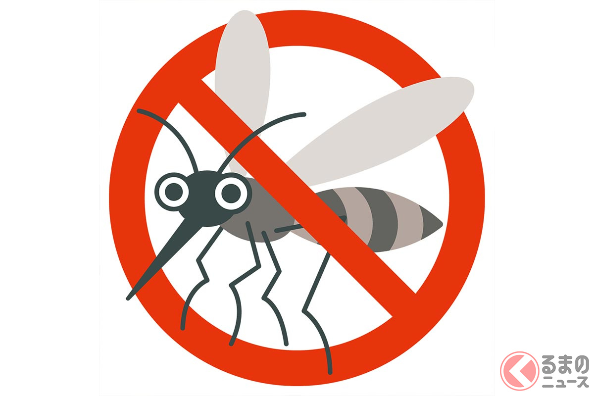 運転中に車内に虫が入った場合、どのように対処すればよい?