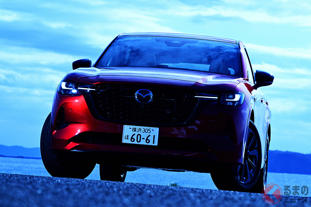 まさに…オシャレなラグジュアリーSUV!