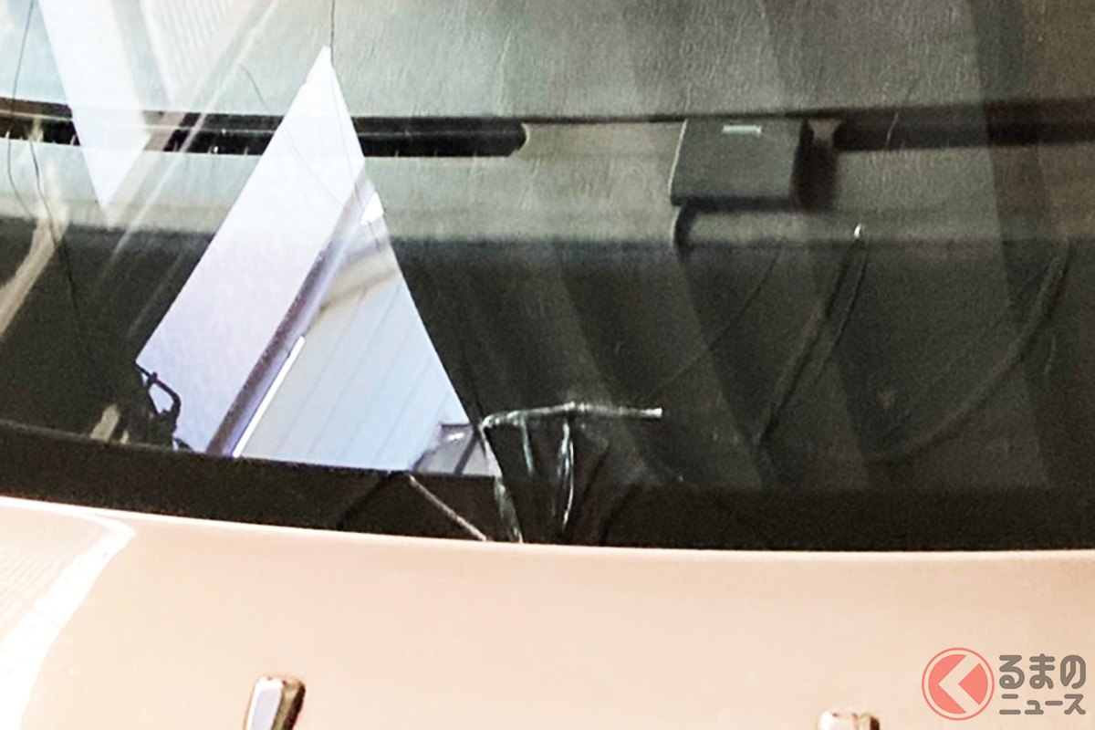 小傷でも放置は駄目!すぐに対処を!