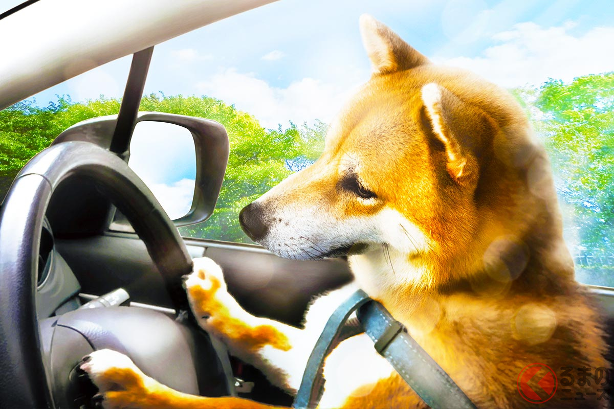 とはいえ、「例外的」を除いてシートベルトは必ず着用することが望ましいものです