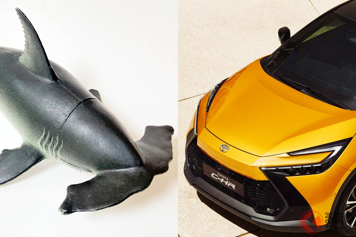 似てる? トヨタ新型「C-HR」と「シュモクザメ(ハンマーヘッド)」