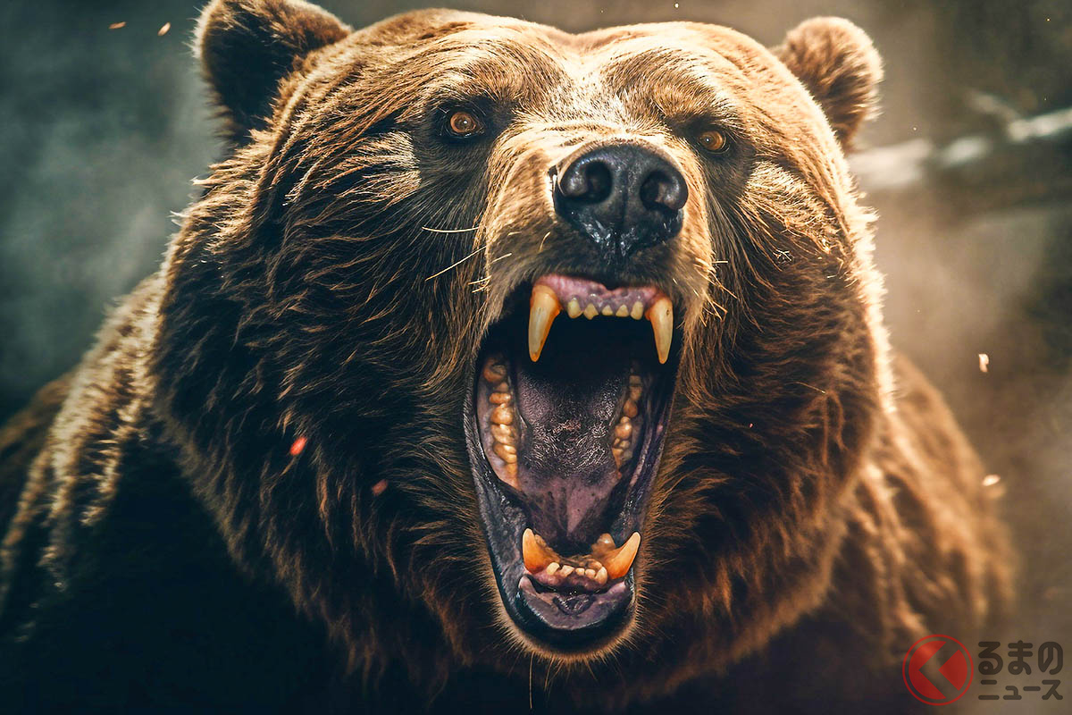 「ク、クマだァァァ!」車でクマに遭遇したらどうすればいい?(画像はイメージ)