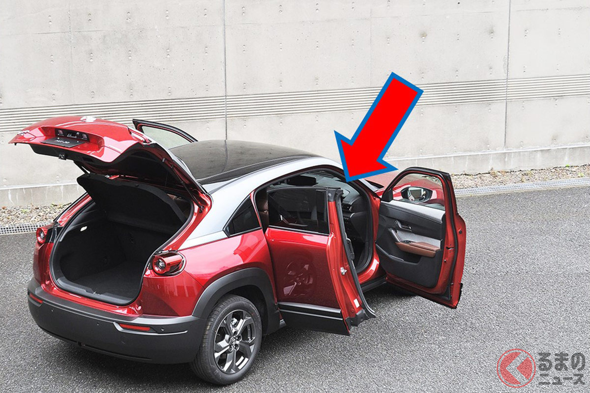 いつも見慣れるドアの開き方じゃない! 謎のドアの正体とは