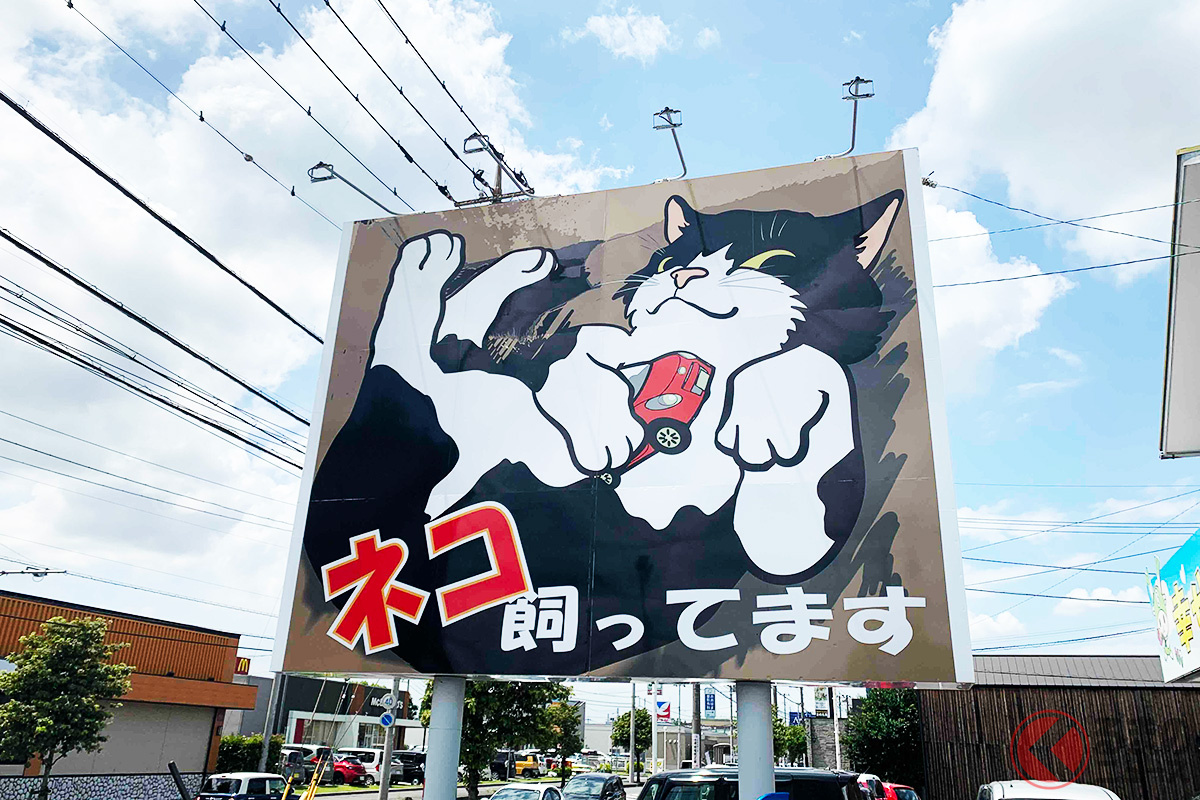 車屋さんなのに…「ネコ飼ってます」ってどういうこと?(画像提供:幸せの入り口 イーカーズ深谷店)