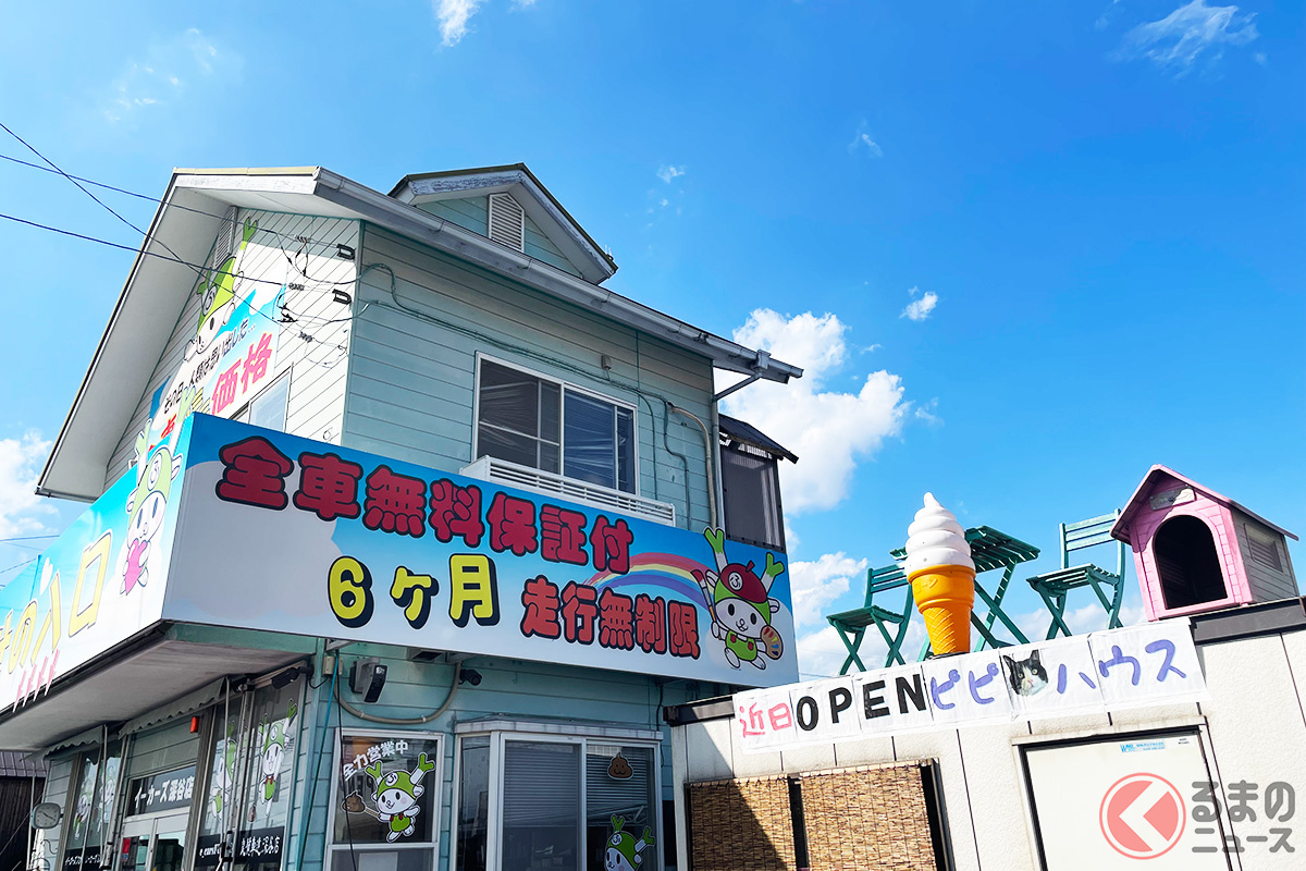 近日にはネコが集まる場所もできるという(画像提供:幸せの入り口 イーカーズ深谷店)