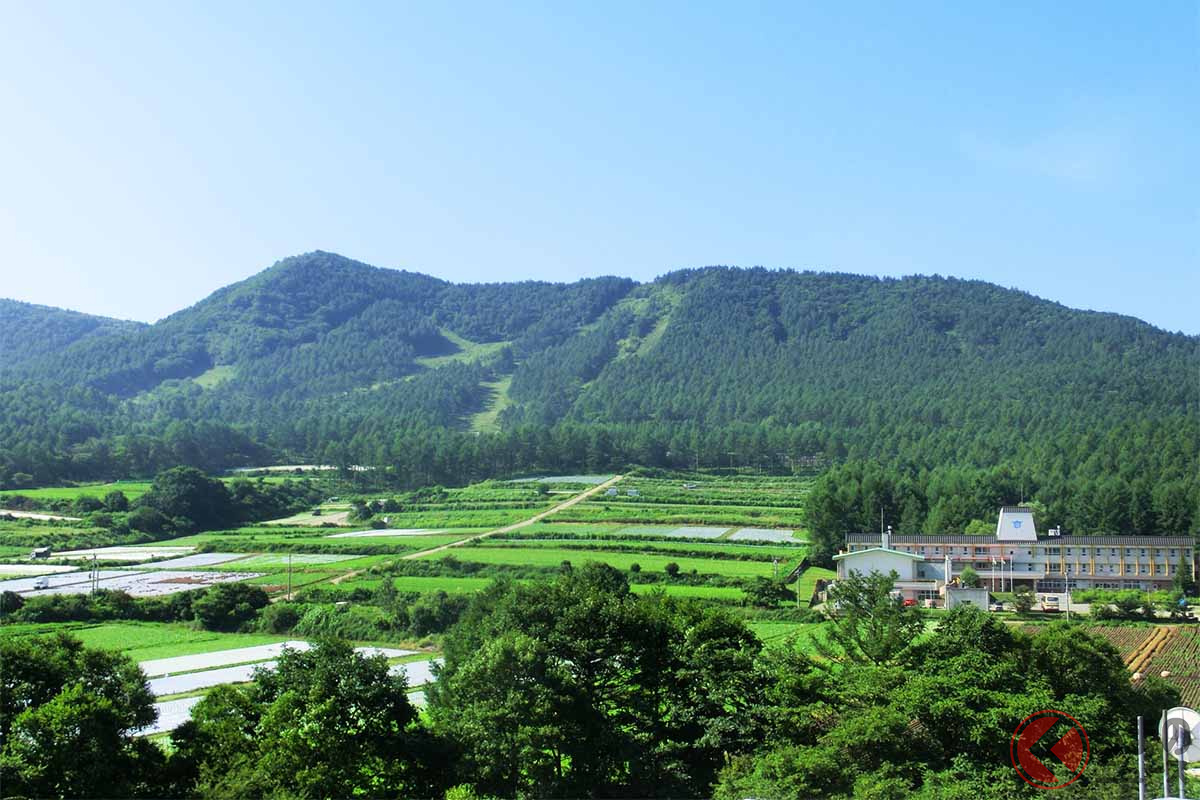 長野県南牧村の野辺山高原(画像:写真AC)