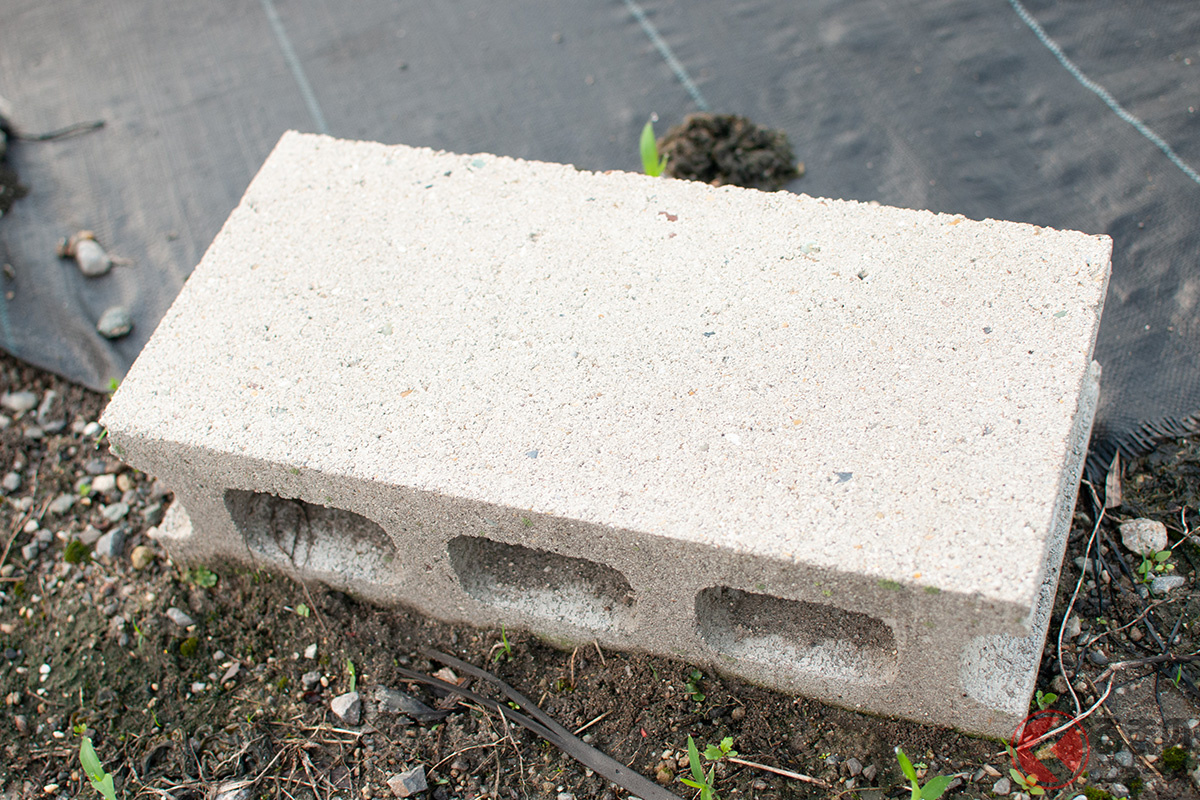 過去にはコンクリートブロックを投げ入れる事件も発生している