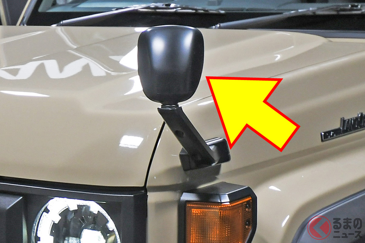 賛成分かれるきのこミラー