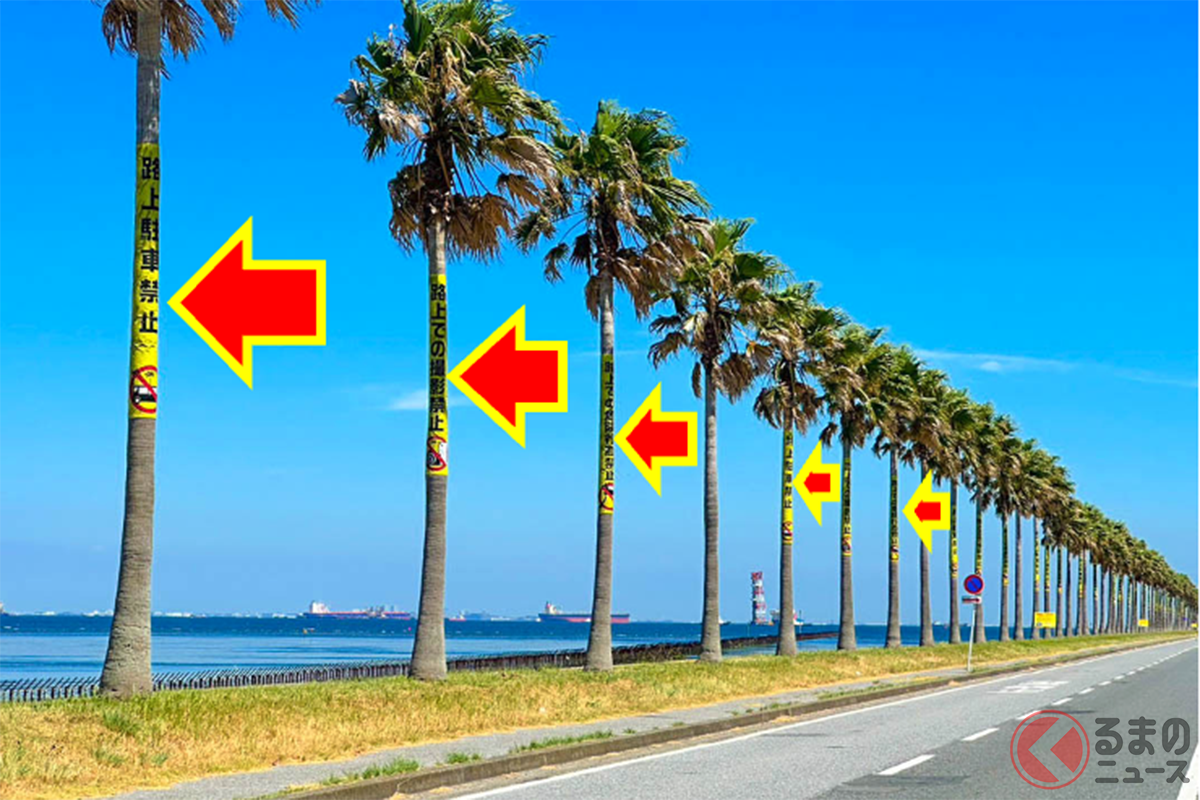 ば、映えない…! 黄色い注意書きがかけられた「千葉フォルニア」