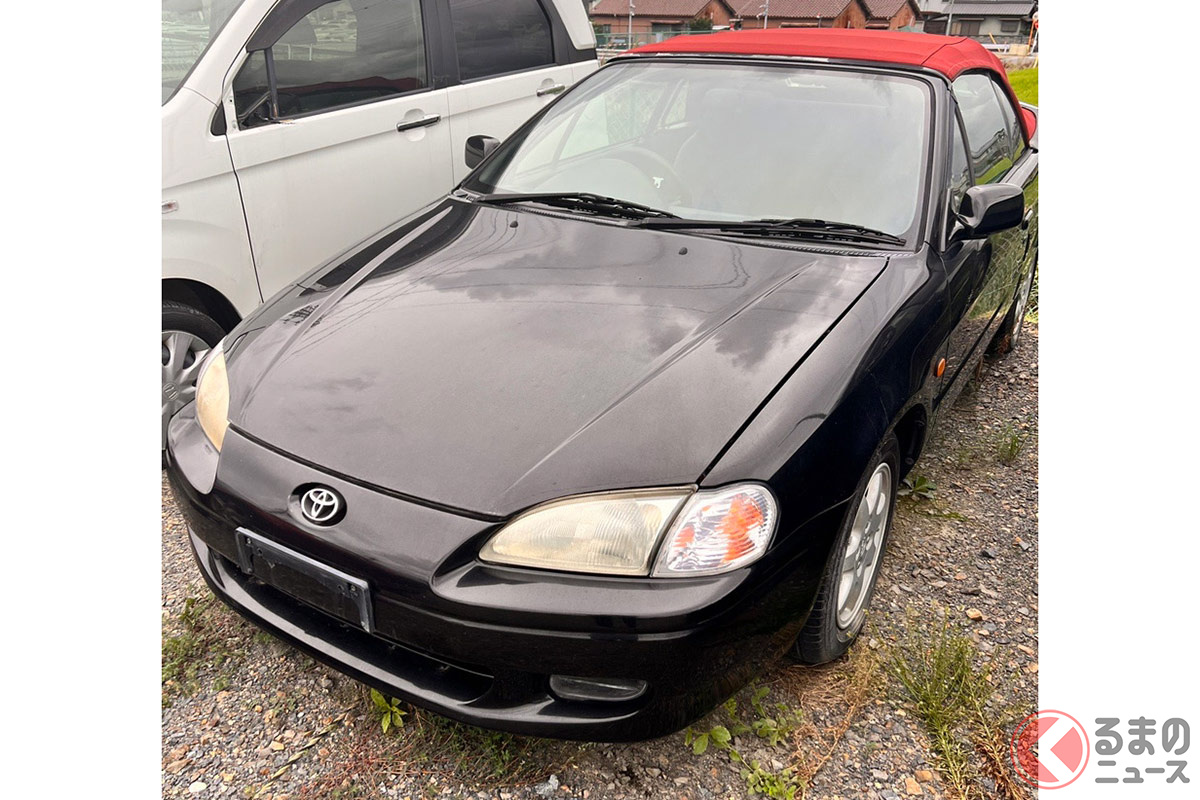 希少なサイノスコンバーチブル(画像提供:アイルー小牧店)