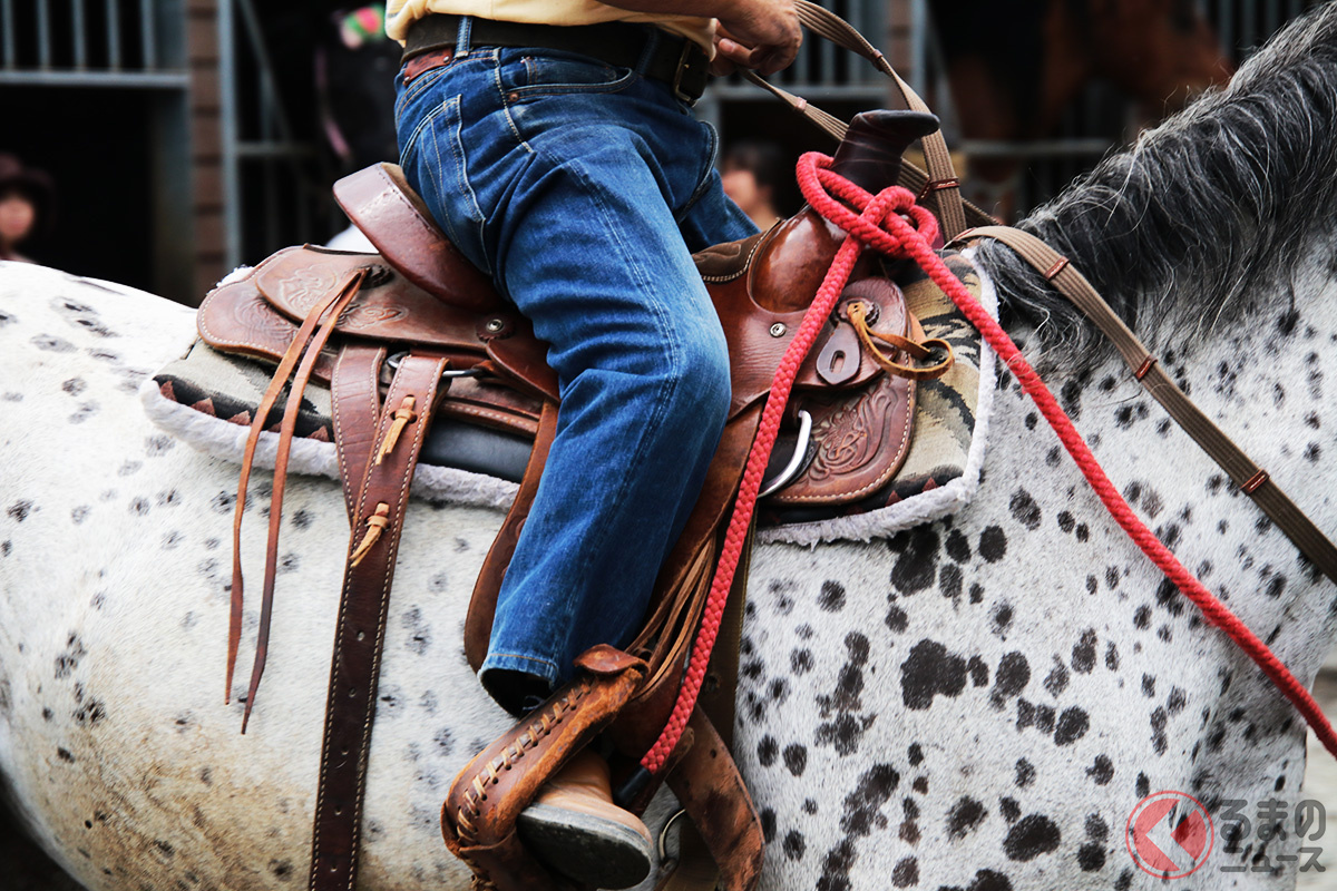 馬に乗って公道を走るのには免許が必要?