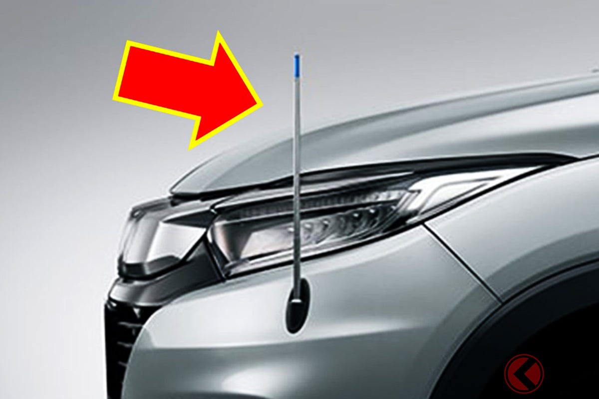 下手くそ棒とも呼ばれる「コーナーポール」だが…最近は減っている?