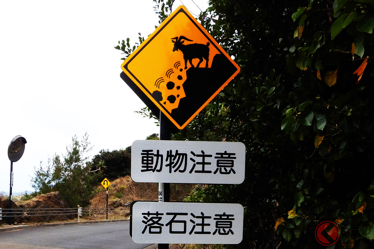 えっ…山羊が岩を落としてる? 標識の意味とは(写真提供:東京都小笠原支庁)