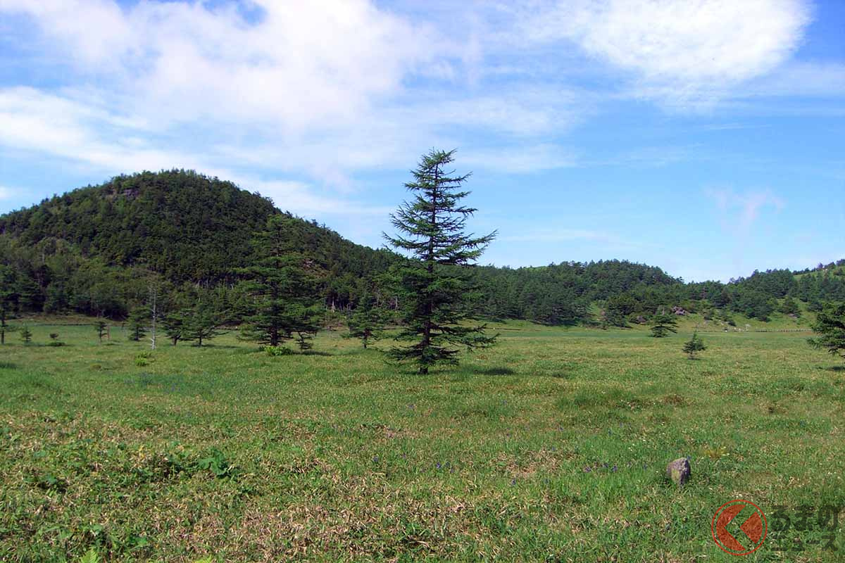 高峰高原(画像:写真AC)