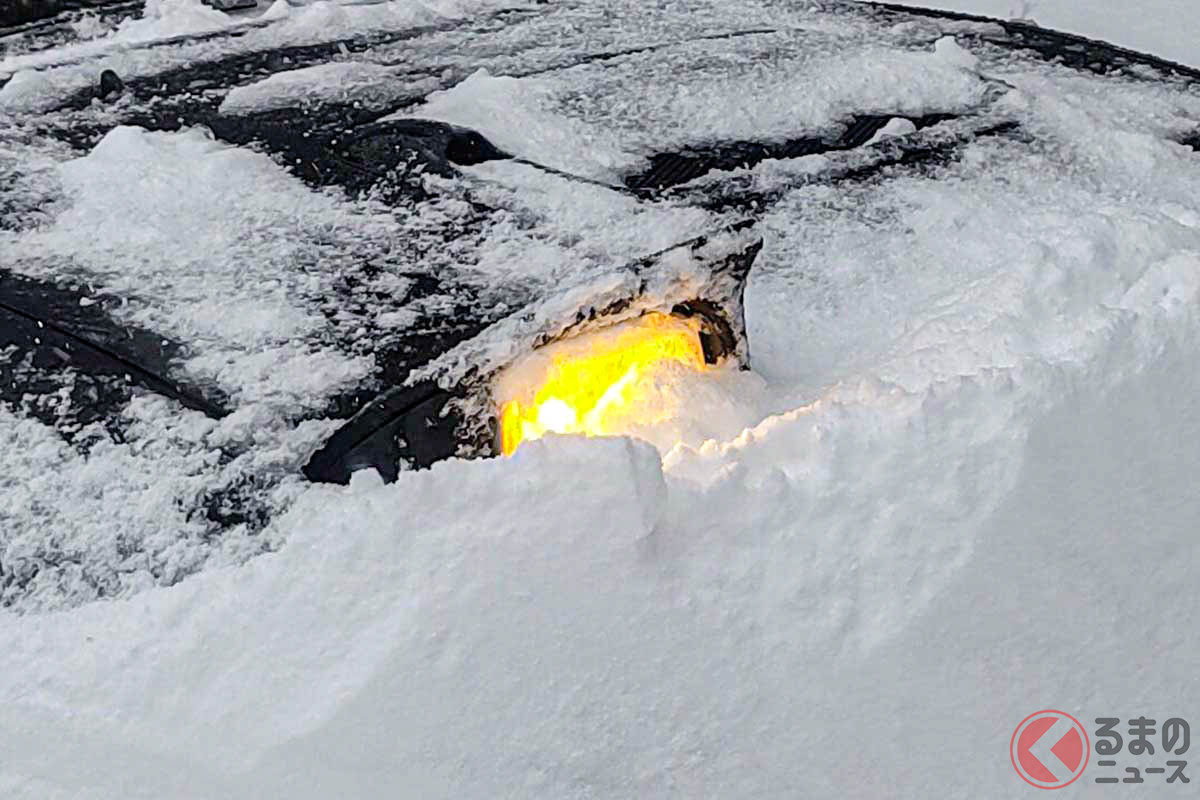 まるでマスク!?(Photo:ふみさん(@tohoproject99))