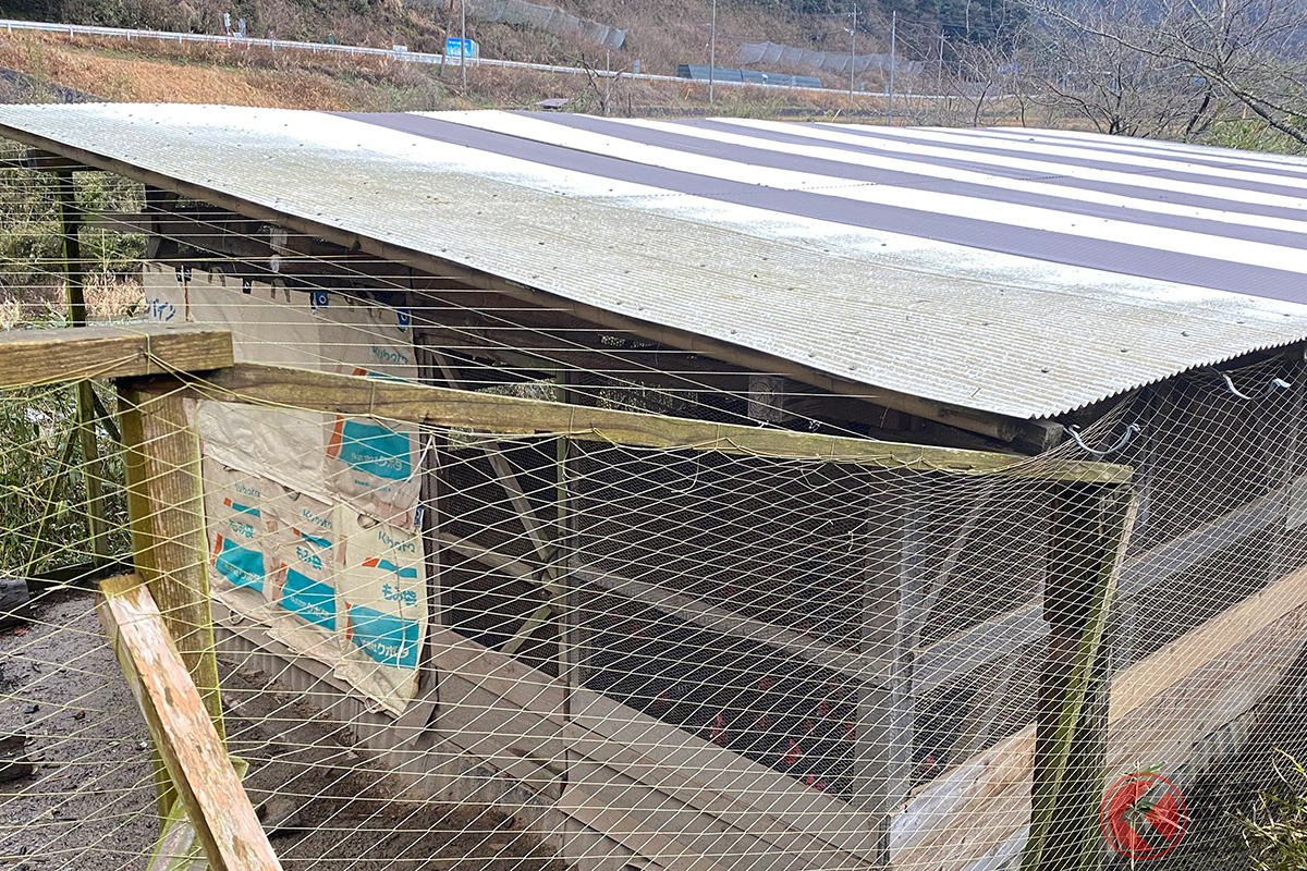 鶏の看板近くにある鶏小屋(画像提供:匹見下公民館)
