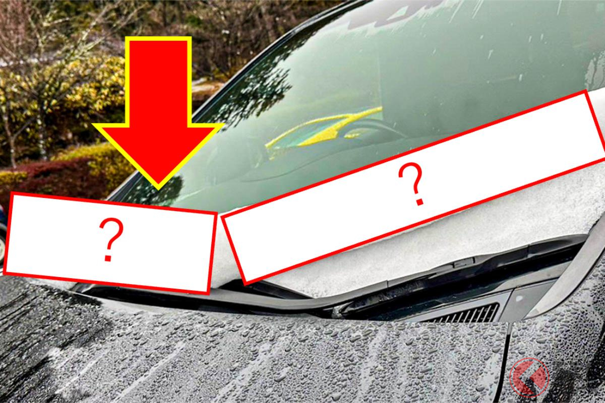 まさに雪ロールケーキ…!