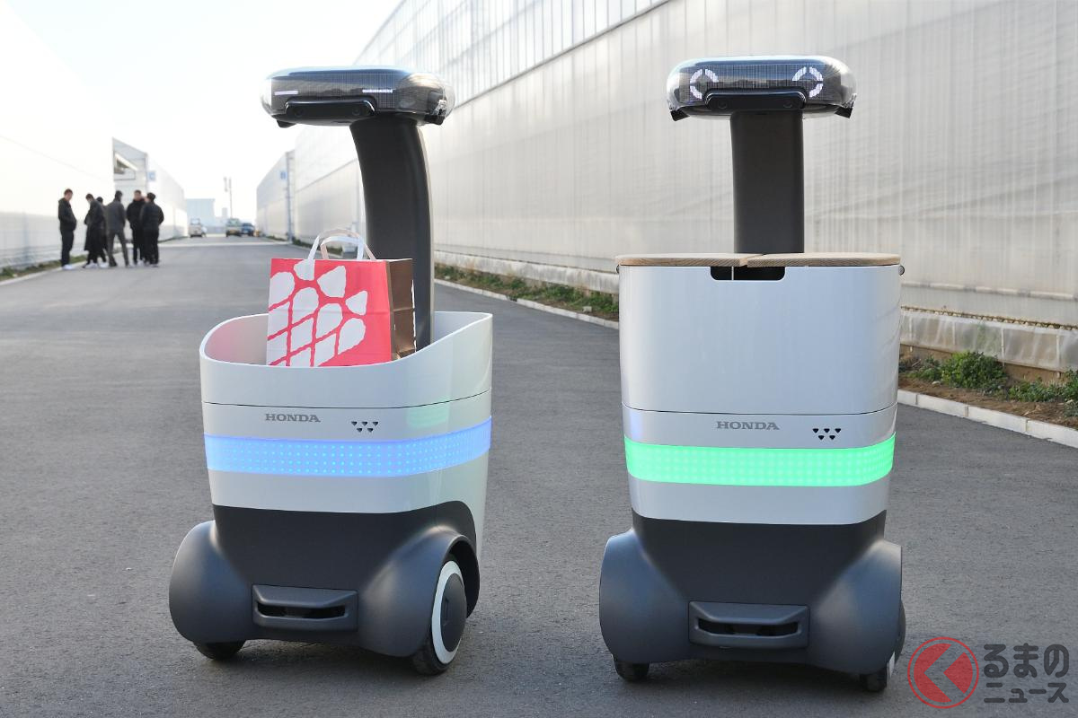 愛らしすぎる…「WaPOCHI」