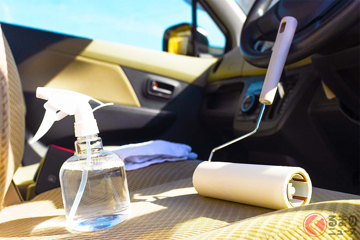 アツアツの車内ならある程度は駆除できるか?(※画像はイメージ)