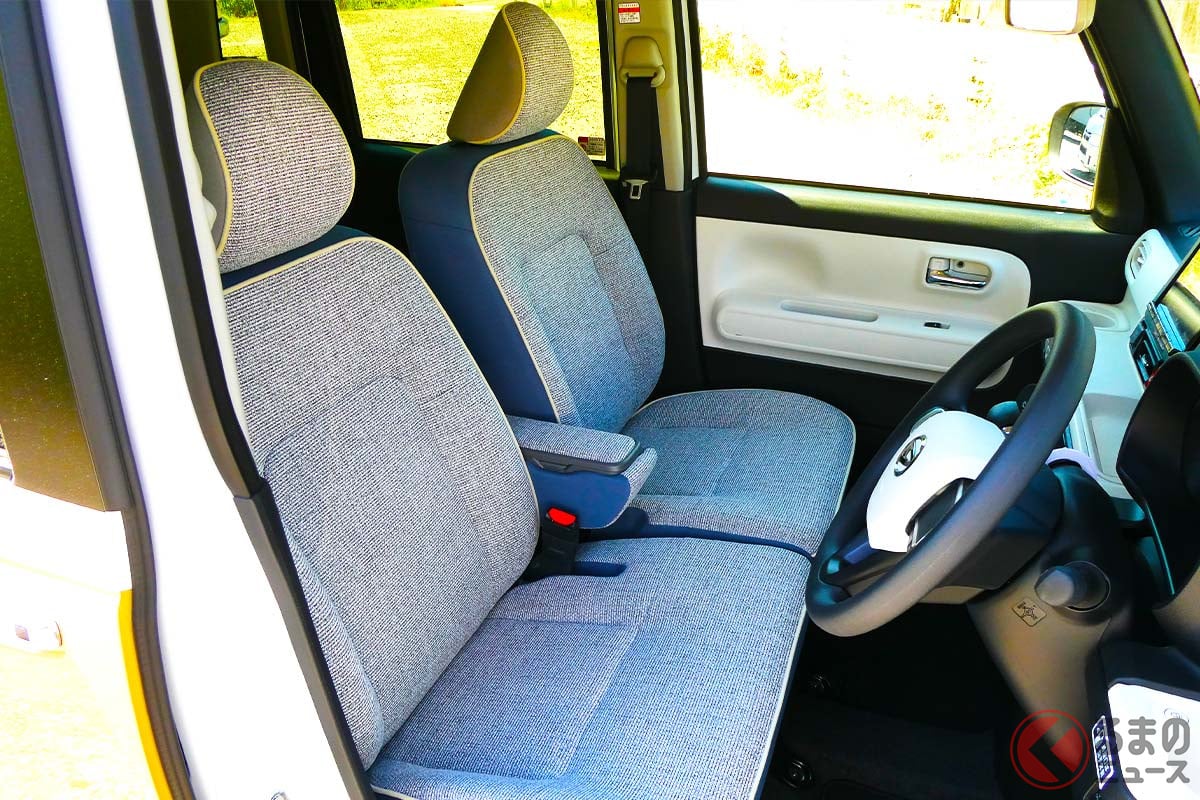 「トコジラミ」は車内に繁殖・蔓延する?(※画像はイメージ)