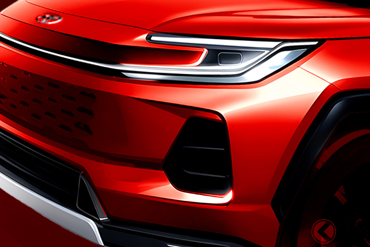 最新サメ顔採用へ!?