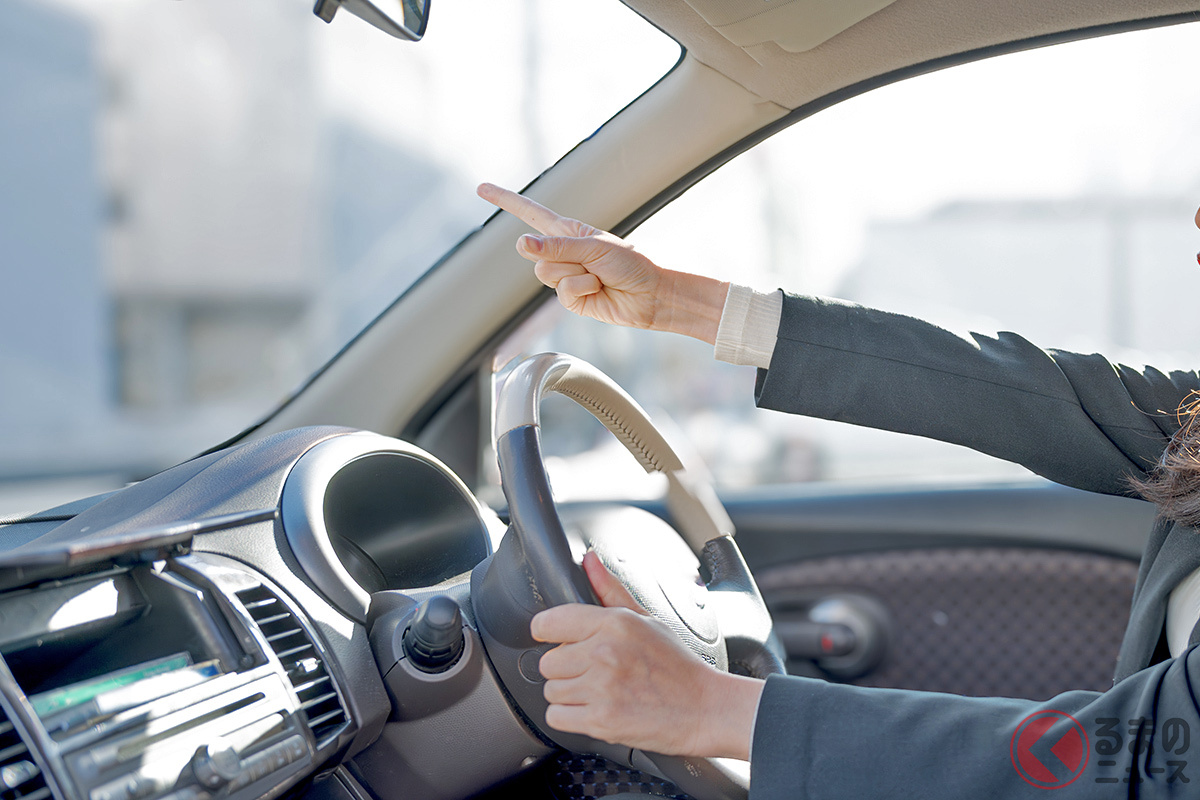 「イヤァ!!」車内に入り込んだ虫 どうする?