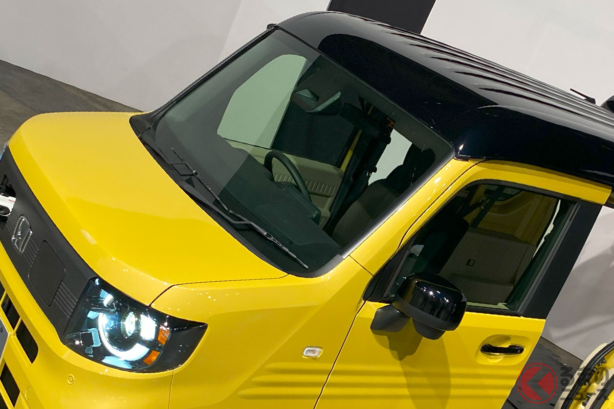 ルーフだけじゃなくテールゲートも真っ黒!