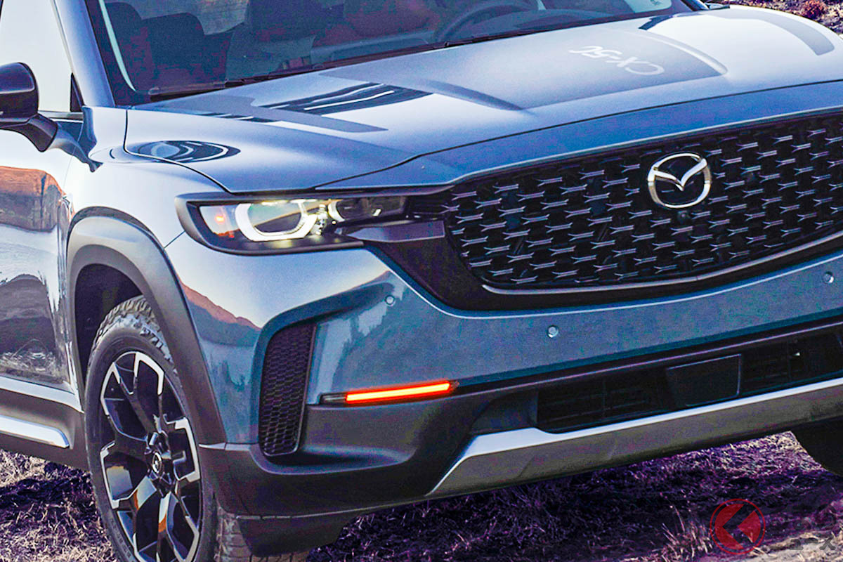 日本導入あり得る?