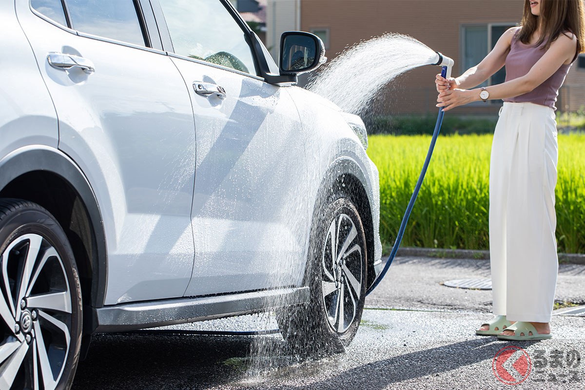 クルマのボディに虫が付着! 影響は?