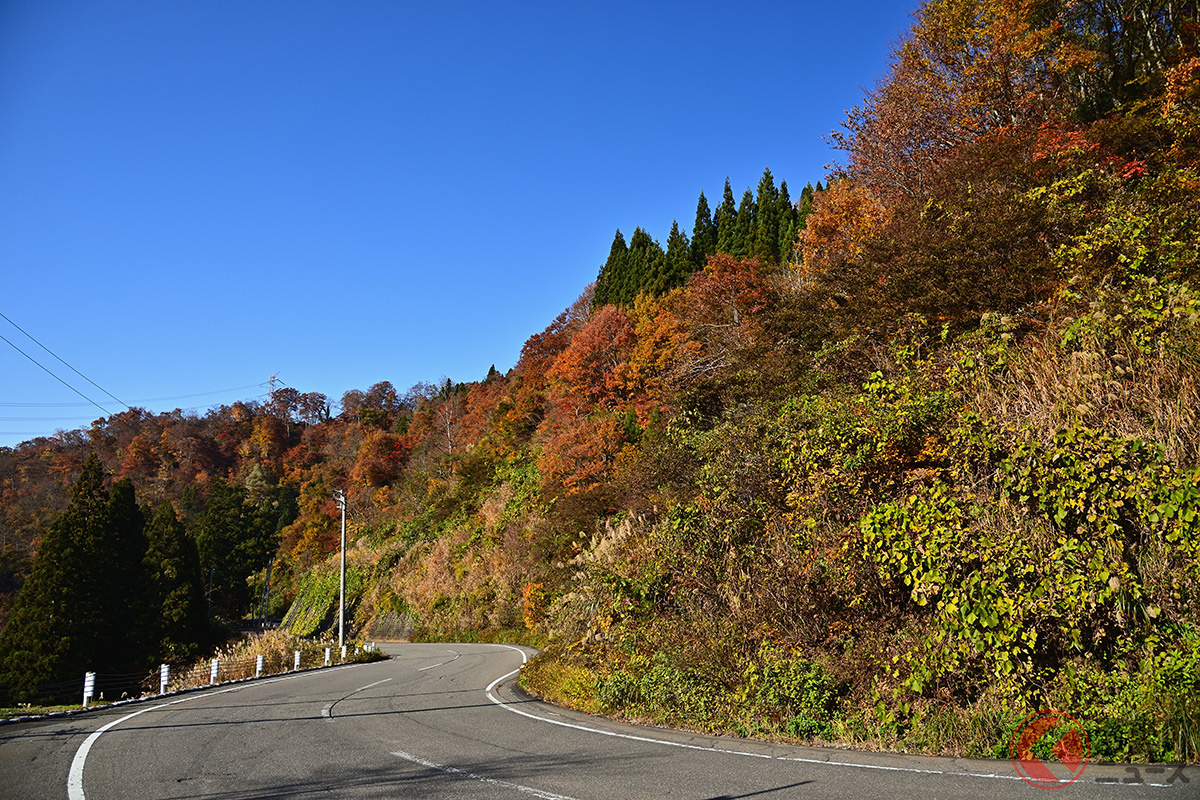 もうすぐ道に落ちてくる「茶色ヤツ」に注意!