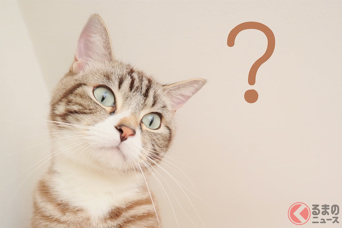 なぜ「猫=レクサス」なのか?