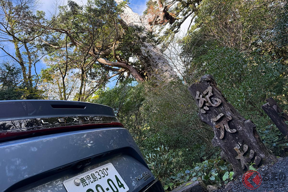 レクサス「RZ」で巡る「屋久島の旅」 屋久島とBEVはマッチしてる?