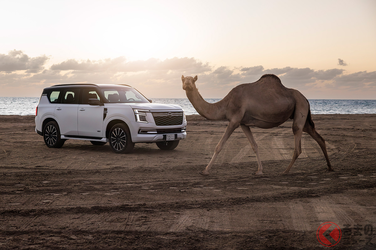 砂漠と言えば…ラクダ?