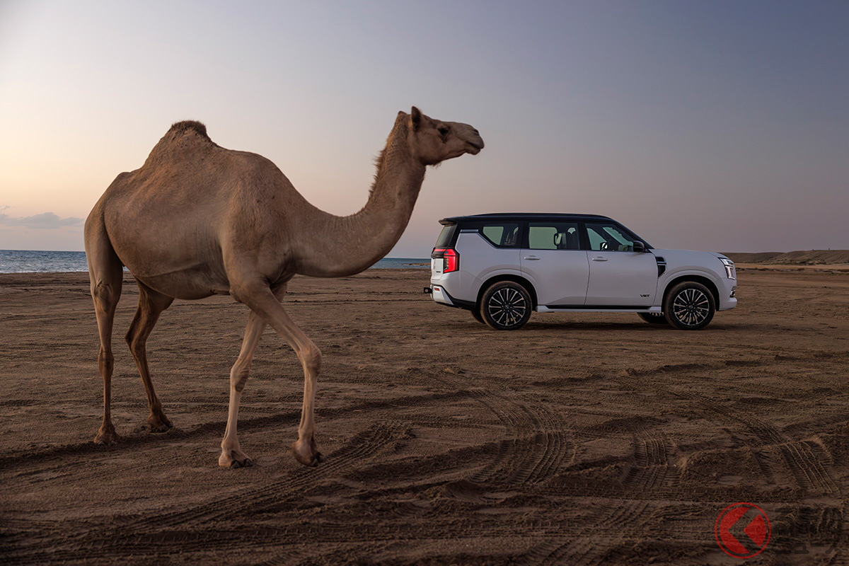 乗ってみたい!(どっちに? それは…)