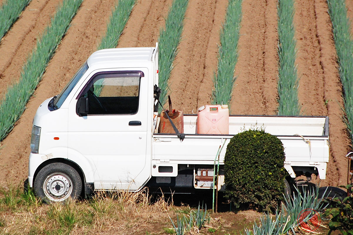 (画像:PIXTA/イメージです)