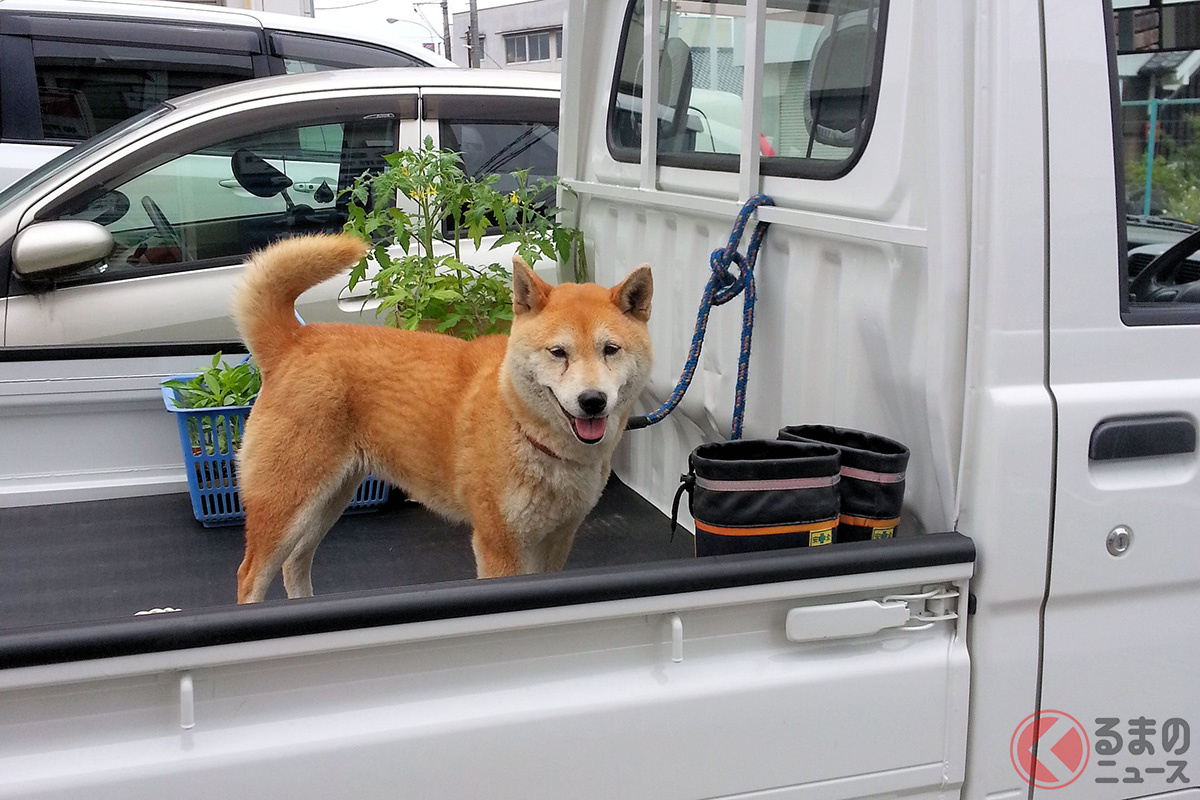 合法的に「荷台に人を乗せることができる?」(画像はイメージ/フォトAC)