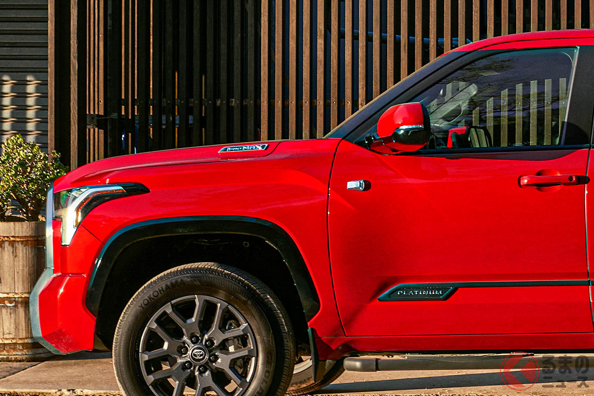 豪華な本格モデル!