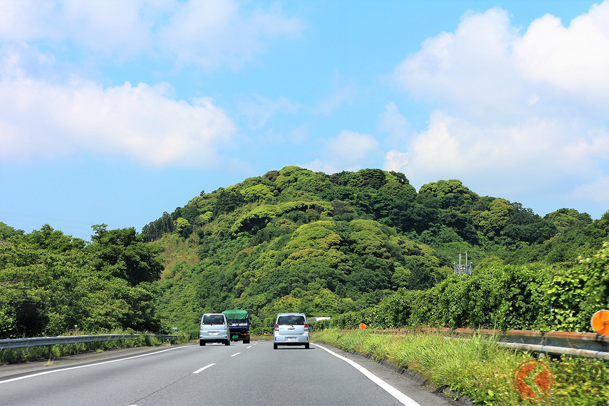 高速道路にも様々な木々が植えられている