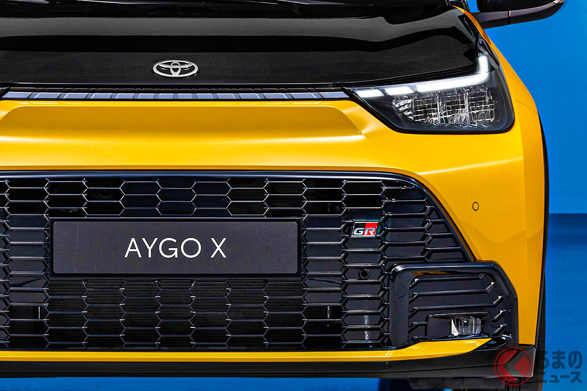 迫力顔だけどめちゃコンパクト!