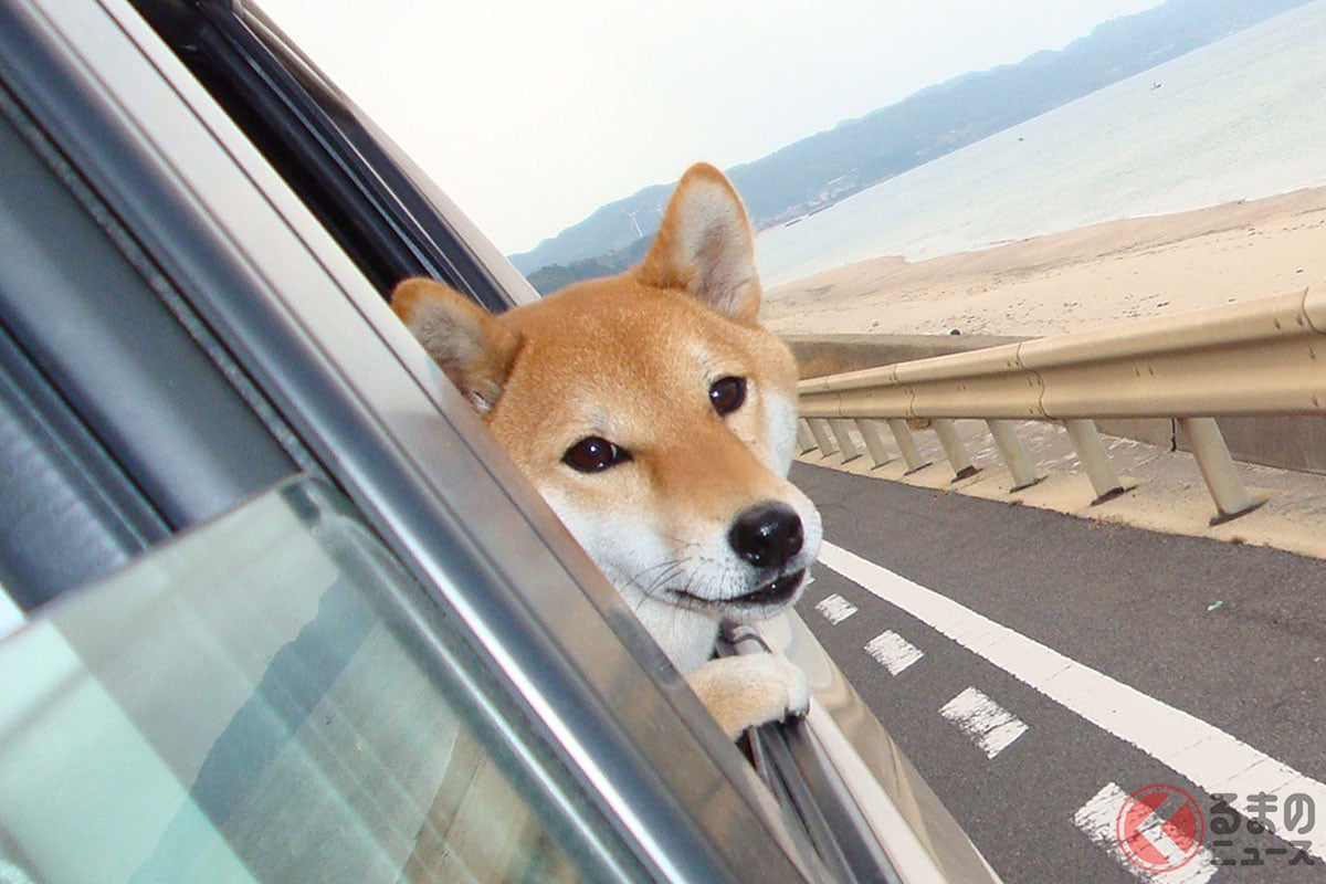 画像はイメージ(画像:PIXTA)。