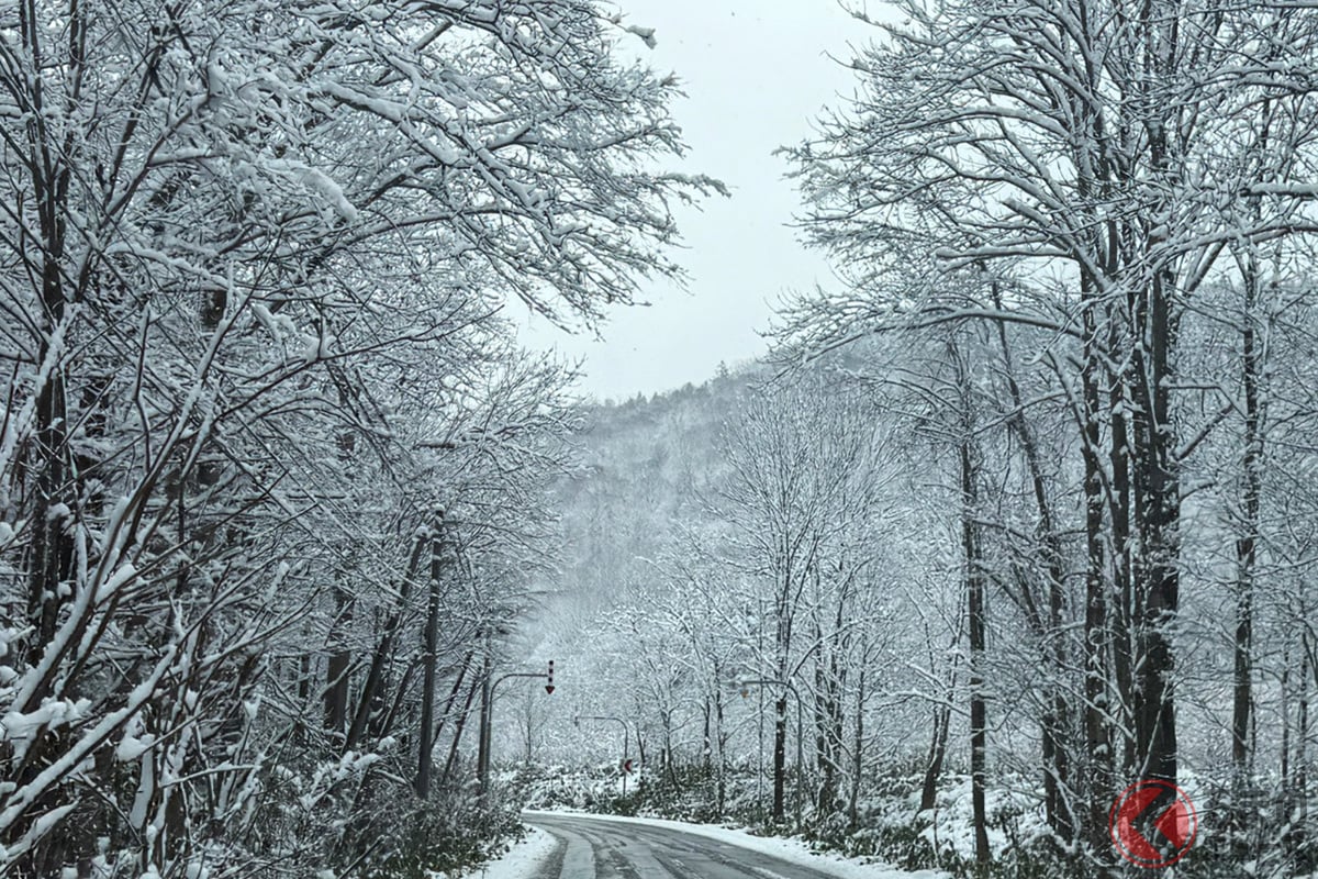 今回の北海道は、雨・泥・雪・シャーベットと様々な路面状況を体験できた